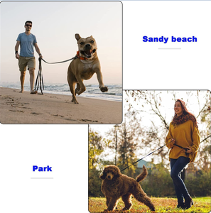 Correa de Adiestramiento para Perros, 1.5 Metros de Largo, Resistente, para Seguimiento, Paseo y Recuerdo, Reino Unido - Product Image 3