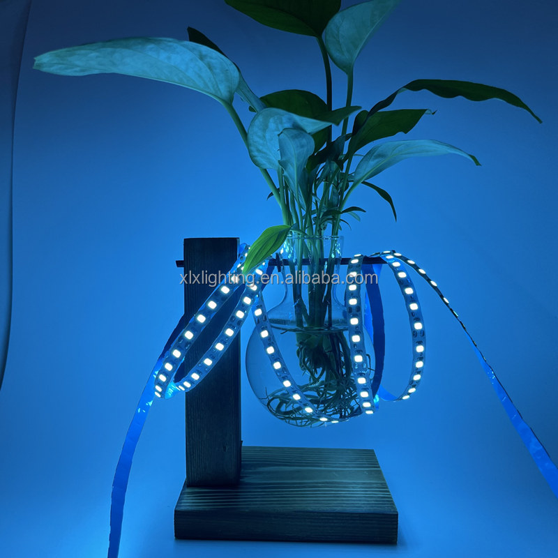 1LED Cut 120LEDs/m IP20 Non-waterproof Flex LED Strip Lights with SMD2835 Chip 10m/roll 12V LED Light