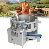 Machine d'emballage automatique de sauce tomate GDS210B-10 à 10 stations avec pompe à piston pour sachets souples, largeur de film maximale 210 mm