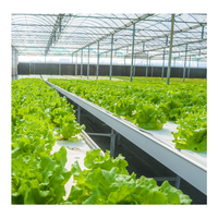 HUIFA Grande serre hydroponique de haute qualité en poly film plastique Serre tunnel agricole commerciale pour plante