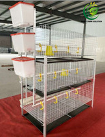 Cage à poulets de chair robuste à 3 niveaux de qualité supérieure pour l'élevage de poulets de chair – Fournisseur d'usine de cages à poulets de chair pour l'élevage avicole à grande échelle
