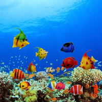 Poisson Tropical Artificiel Flottant Mobile, Jouet de Simulation pour Aquarium, Décoration Paysagère