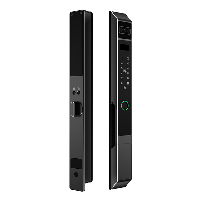 Fully Automatic Waterproof Outdoor Tuya Wifi Face Door Lock Ttlock App Aluminum Smart Sliding Door Lock Slim Fingerprint Lock