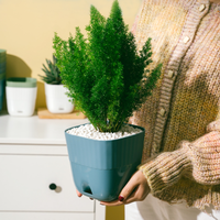 Un petit pot de fleurs en plastique de résine épaissie de chambre à coucher de bureau spécialement conçu pour les cactus et les plantes succulentes
