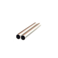 Sensor Suhu PT100 DS18B20 Selubung Baja Tahan Karat Tabung Pelindung Modul Selubung Pelindung Dapat Disesuaikan 6*50mm