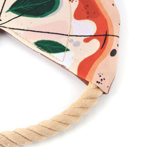 Modern klasik uçan disk şeklinde köpek frioyuncak renkli Pet karpuz baskı için TPR frizbi kediler için basit tarzı - Product Image 6