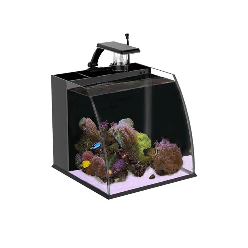 Küçük Mini akvaryum yaratıcı kare yumurta bölünmüş geri filtre masaüstü ofis ev deniz suyu tankı