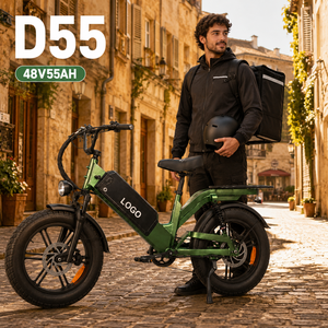 Vélo électrique de livraison sécurisé D55, 48V 55Ah, autonomie 240km, 750W, pneus larges, avec feux stop et clignotants - Product Image 1