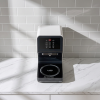 Machine à ramen coréen professionnelle, cuiseur de nouilles électrique à induction automatique, station de cuisson rapide en libre-service pour comptoir