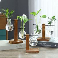 Vase hydroponique moderne en bois avec cadre en verre transparent, pot de fleurs durable et écologique fait à la main pour table de mariage