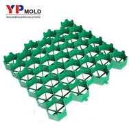 Moule d'injection plastique personnalisé de haute qualité pour la fabrication de grands grilles de pavage de toiture pour la plantation d'herbe