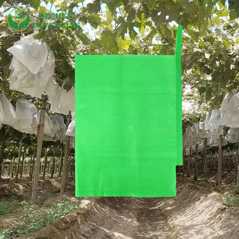 Cheap Paper Bag Mango from China Mango Fruit Protection Bags - Reliable & Affordable Cheap Paper Bag Mango from China Mango Fruit Protection Bags - Reliable & Affordable