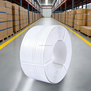 <span class=keywords><strong>Bande</strong></span> <span class=keywords><strong>de</strong></span> cerclage en plastique haute résistance, sangle PP colorée, ceinture d'emballage durable, <span class=keywords><strong>bande</strong></span> <span class=keywords><strong>de</strong></span> conditionnement - Product Image 1