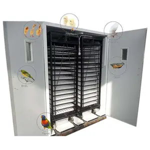 Incubadora de huevos totalmente automática, máquina para incubar 8000 huevos, codorniz, Paloma, precio HJ-I19