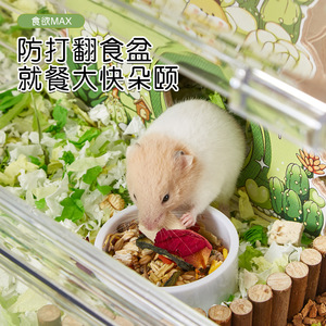 Maisonnette en bois décorative pour hamsters - Série Peeping - Jouet pour hamsters dorés et hamsters nains - Abri cachette - Product Image 4