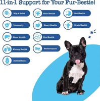 Vente en gros usine – Complément multivitaminé 11-en-1 à croquer pour chiens et chats – Soutien immunitaire naturel et santé articulaire – OEM