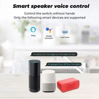 Prise murale Matter Smart Home Interrupteurs IP66 16A Écran tactile en verre universel USB Type C Fiches Ewelink Compatible Zigbee