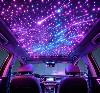 Kit de Plafonnier Étoilé pour Voiture à Fibres Optiques, Créez Votre Propre Marque, 1000-2000 Pièces avec Étoiles Filantes