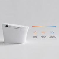 Toilette intelligente décorative de luxe avec bidet intégré, siphon en S inclus, sans réservoir, chauffage instantané, abattant automatique, design moderne