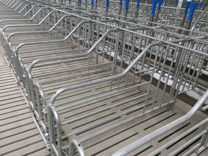 PH Profesional Nuevo Diseño Cerdo Inmersión en caliente Galvanizado Cajón de gestación Cerda Puesto de gestación - Product Image 5