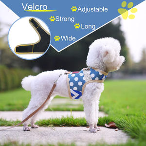 Satu Set tali dan kekang anjing kecil, kekang hewan peliharaan kecil untuk musim dingin, rompi anjing empuk lembut dapat disetel untuk pudel, Pomeranian, <span class=keywords><strong>Chihuahua</strong></span> - Product Image 2