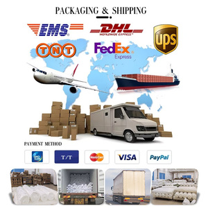 Tissu en dentelle à motif fleur de prunier noir sexy, maille transparente, prix de gros abordable pour robes, lingerie et sous-vêtements féminins - Product Image 6