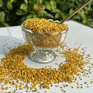 Polen de Abeja Natural de Grado Alimenticio, 100% Puro, Certificado HACCP, en Bolsa a Granel, Gránulos de Miel de Girasol Frescos de Alta Calidad - Product Image 1