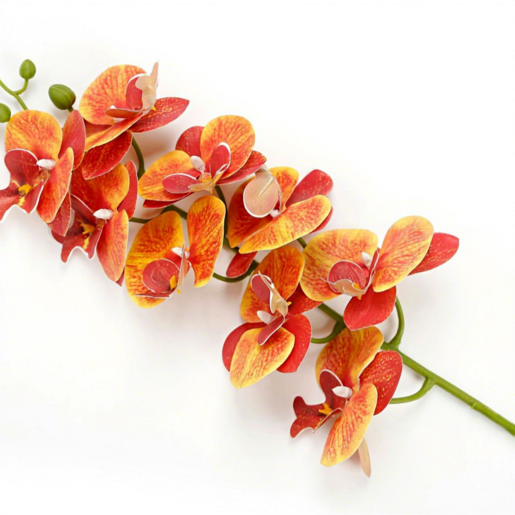 9-head phalaenopsis orchid-orange