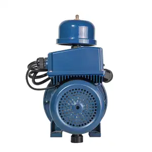 0,75 kW 1 PS elektrische Konstantdruck-Drucker höhungs pumpe Intelligente Wasserpumpe mit variablem Druck
