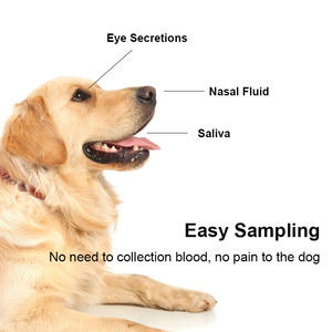 Kit <span class=keywords><strong>de</strong></span> prueba rápida <span class=keywords><strong>de</strong></span> parvovirus canino preciso, prueba <span class=keywords><strong>de</strong></span> antígeno para perros y mascotas, instrumento veterinario para diagnóstico rápido - Product Image 4