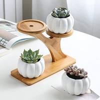Pots succulents portable pour citrouille, avec 3 niveaux, en bambou, planteur moderne minimaliste, en céramique blanche