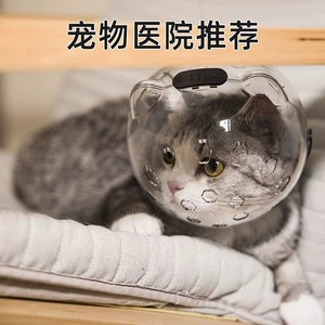Collar Isabelino para Gatos, de Plástico, Anti-Mordidas, para Bañar y Recortar Uñas, para Gatos Pequeños y Grandes - Product Image 4