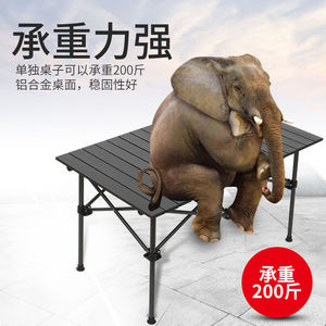 Outdoor Mesh Folding Long <b>Table</b> Rectangular Portable Multi Functional Camping <b>Barbecue</b> Picnic Egg Roll <b>Table</b> - Product Image 4