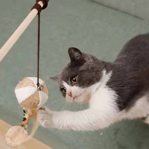 Giocattolo per Gatti a Forma di Canna da Pesca, Gioco con Erba Gatta, Asta in Legno per Gatti - Product Image 4