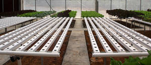 Aquaponic Farming Saving Nutrient Fish Tank avec système hydroponique pour Superfarm - Product Image 6