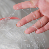 Filets de pêche en nylon transparents blancs 10YDS-1000YDS Japon 11 pouces Filets monofilaments