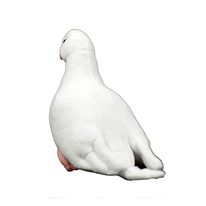 6528 doux moelleux blanc colombe peluche Animal en peluche avec visage réaliste doux câlin enfants oiseau poupées mignon colombe peluche - Product Image 3