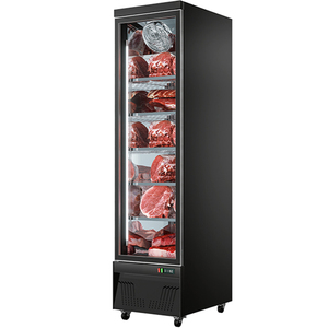 Professional Powerful <b>Freezer</b> 650L 2-Door Customizable Automatic Defrost Air Cooling Showcase Beef Store - Product Image 2