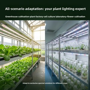 Lampada LED per Coltivazione Piante T8 a Spettro Completo in Lega di Alluminio IP55 ad Alta Efficienza, Illuminazione Supplementare a Spettro Personalizzato per Serra - Product Image 3