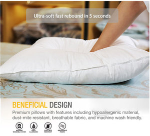 Reine taille blanc pur <span class=keywords><strong>oie</strong></span> et <span class=keywords><strong>duvet</strong></span> de canard oreiller solide motif coton tissu couverture <span class=keywords><strong>prix</strong></span> - Product Image 2