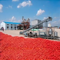 Volledig automatische tomatenpuree productielijn, tomatensausmachine met concentratie-, meng-, sterilisatie- en verwerkingsinstallatie
