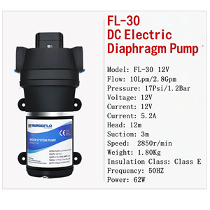 Pompe à diaphragme FL-30/FL-31 12V/24V Mini Ultra Silencieuse pour surpression d'eau, auto-amorçante, extérieure, avec interrupteur automatique intégré - Product Image 3