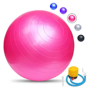 65cm Yoga Pilates Anti Burst PVC Übung Fitness Ball angepasst Logo Größe Fitness Fitness Balance Yoga Ball