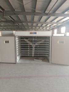 Incubateur à œufs automatique Beyou 4224 avec taux d'éclosion élevé 220V multifonctionnel - Product Image 6