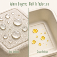 Boîte à clapet compostable de 8 pouces en bagasse de canne à sucre, conteneur articulé pour la préparation de repas à emporter, la livraison de nourriture pour restaurants