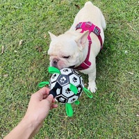 Jouet à mâcher pour chien en PU écologique, balle nettoyante pour les dents, accessoires d'entraînement modernes et tendance, vente en gros