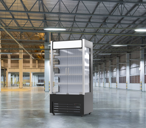 110v r290 חיסכון באנרגיה הוביל לתצוגה אור תיבת אור רב שכבתית אוויר דלת זכוכית מקרר - Product Image 3