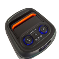 Altavoz Karaoke Portátil con Bluetooth, Inalámbrico, con Iluminación LED RGB, Radio DJ de Plástico, Gran Venta 2026