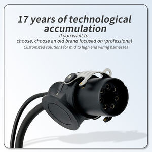 Aangepaste Kabeladapter Ebs Iso 7638 Obd2 Rideaway Diagnostiek Wirin Harnas Fabrikant - Product Image 2