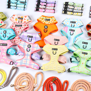 Set <span class=keywords><strong>Harnesses</strong></span> Anjing Neoprene dengan Cetak Sublimasi Custom, Tali Anjing dan Kalung yang Dapat Disesuaikan - Product Image 2